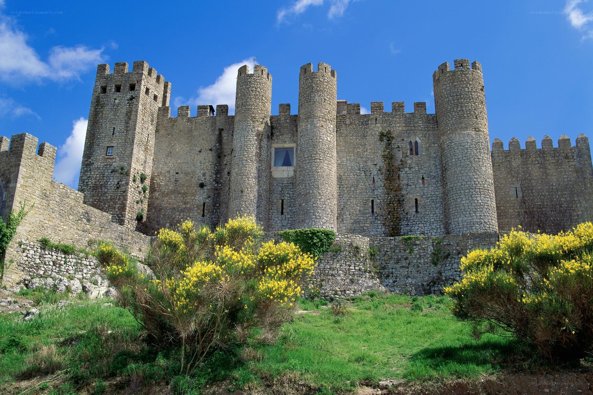Medieval castle with yellow flowers