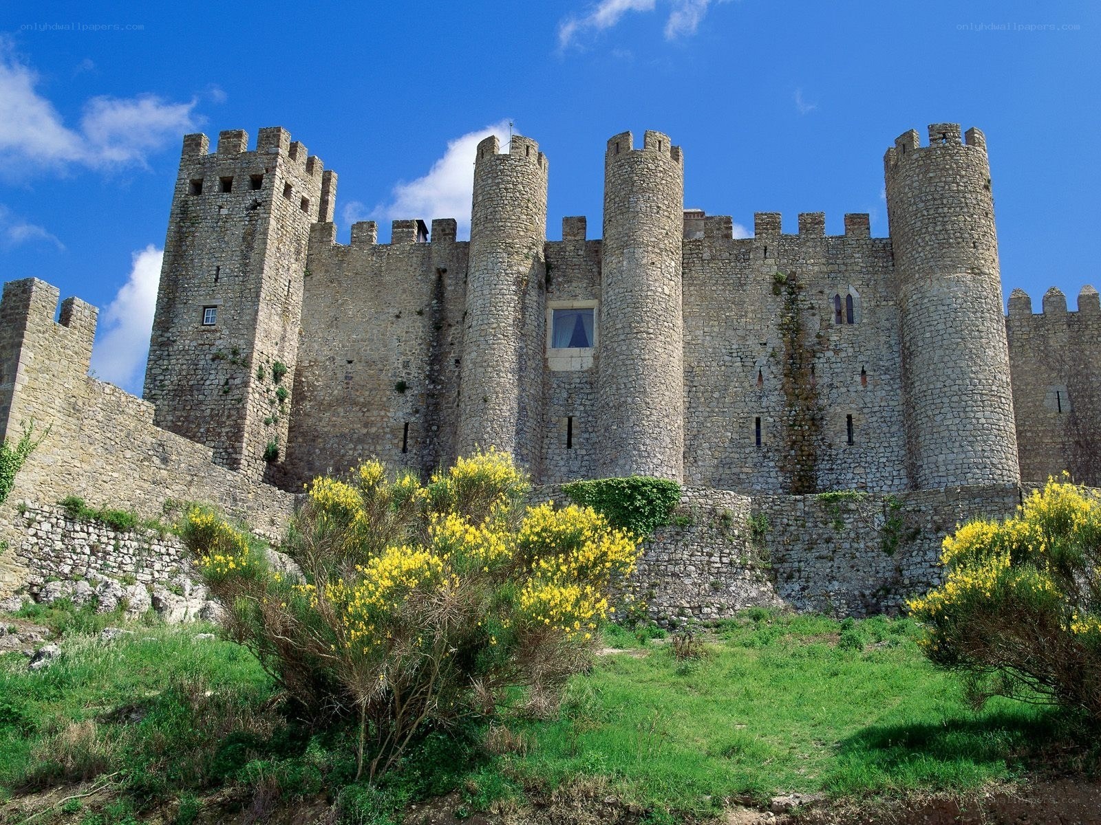 Medieval castle with yellow flowers