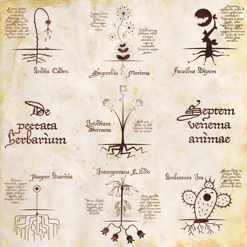 Medieval herbals and plant illustrations