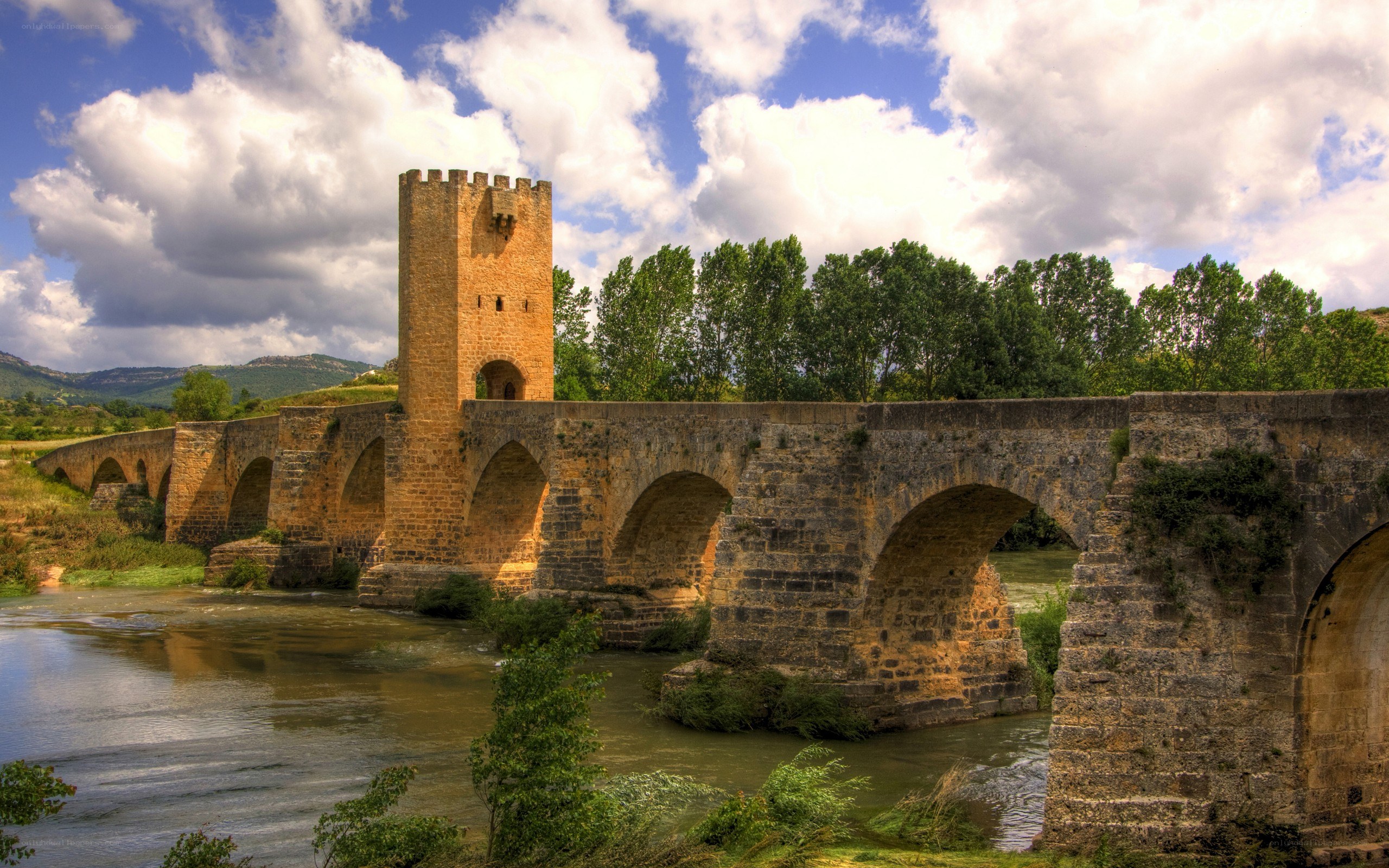 Medieval stone bridge with tower