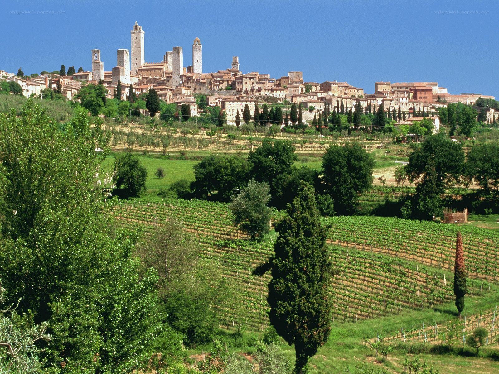 Medieval town in Tuscany