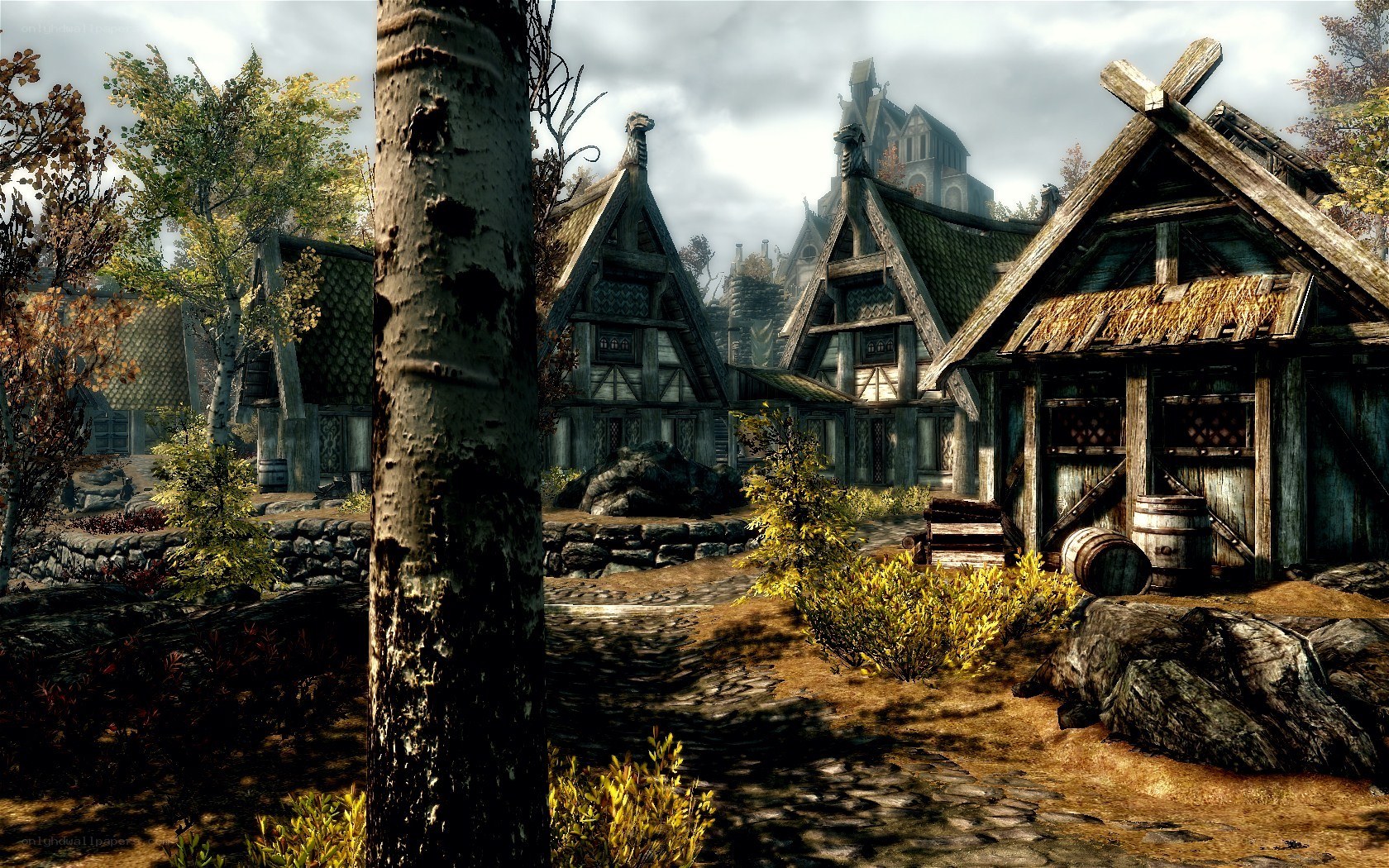 medieval village scene