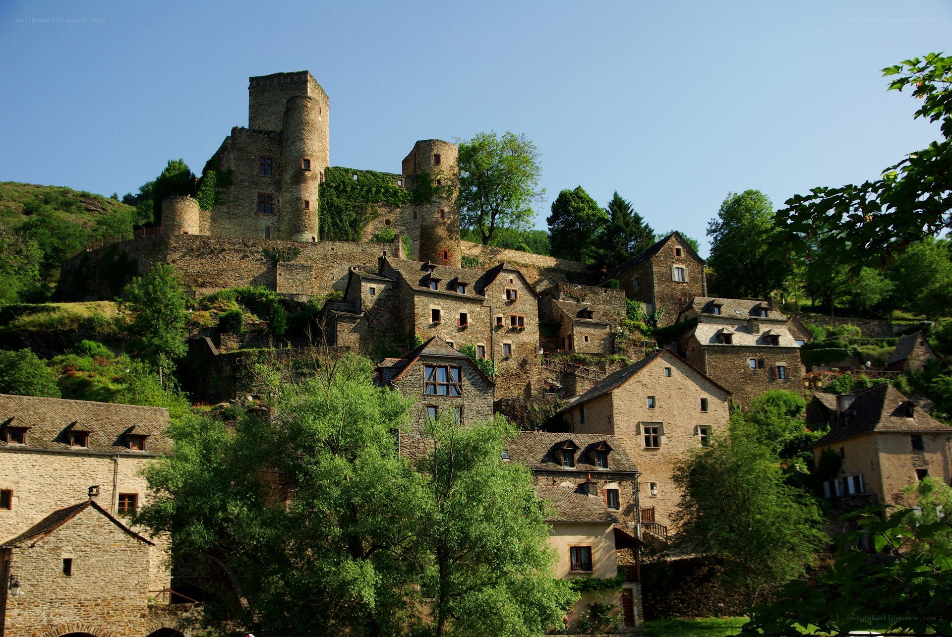 Medieval village with castle