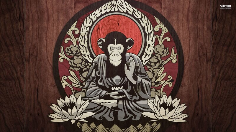 Meditating Monkey