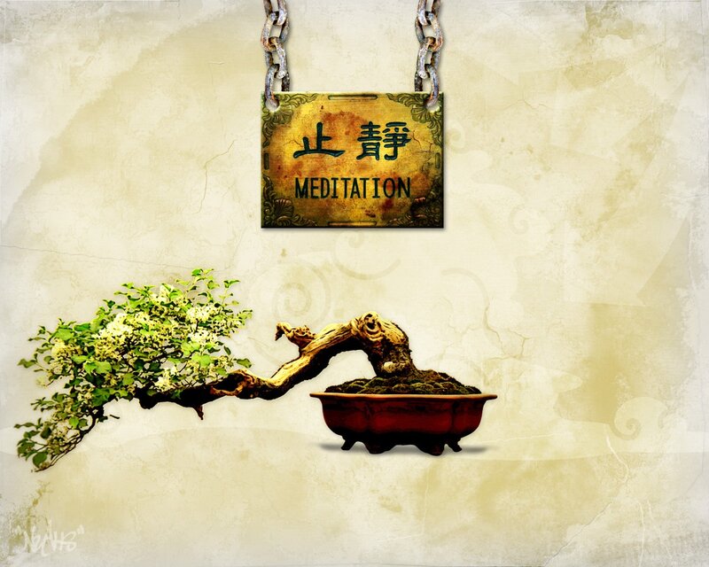 Meditation sign with bonsai
