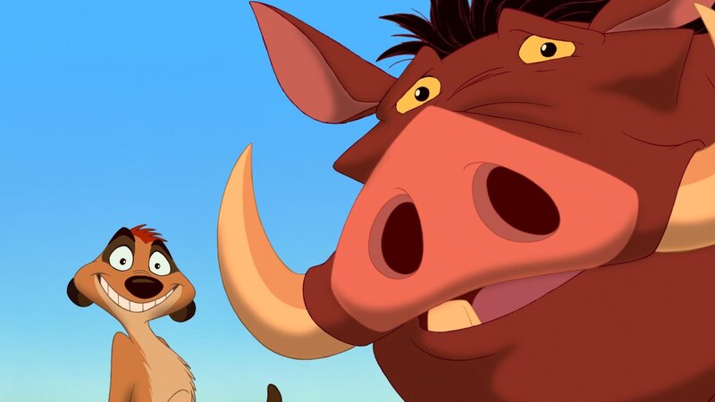 Meerkat and Warthog