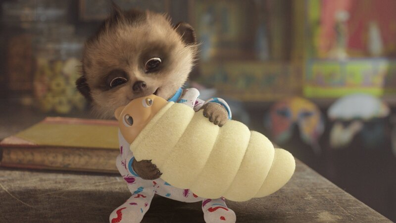 Meerkat Baby Holding Toy