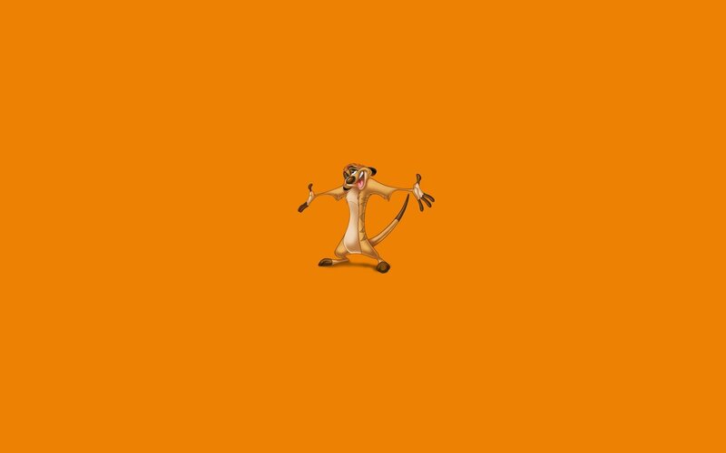 Meerkat Character — Orange, Playful, Illustration
