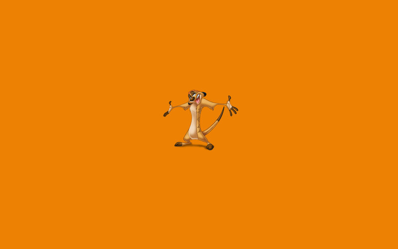 Meerkat Character — Orange