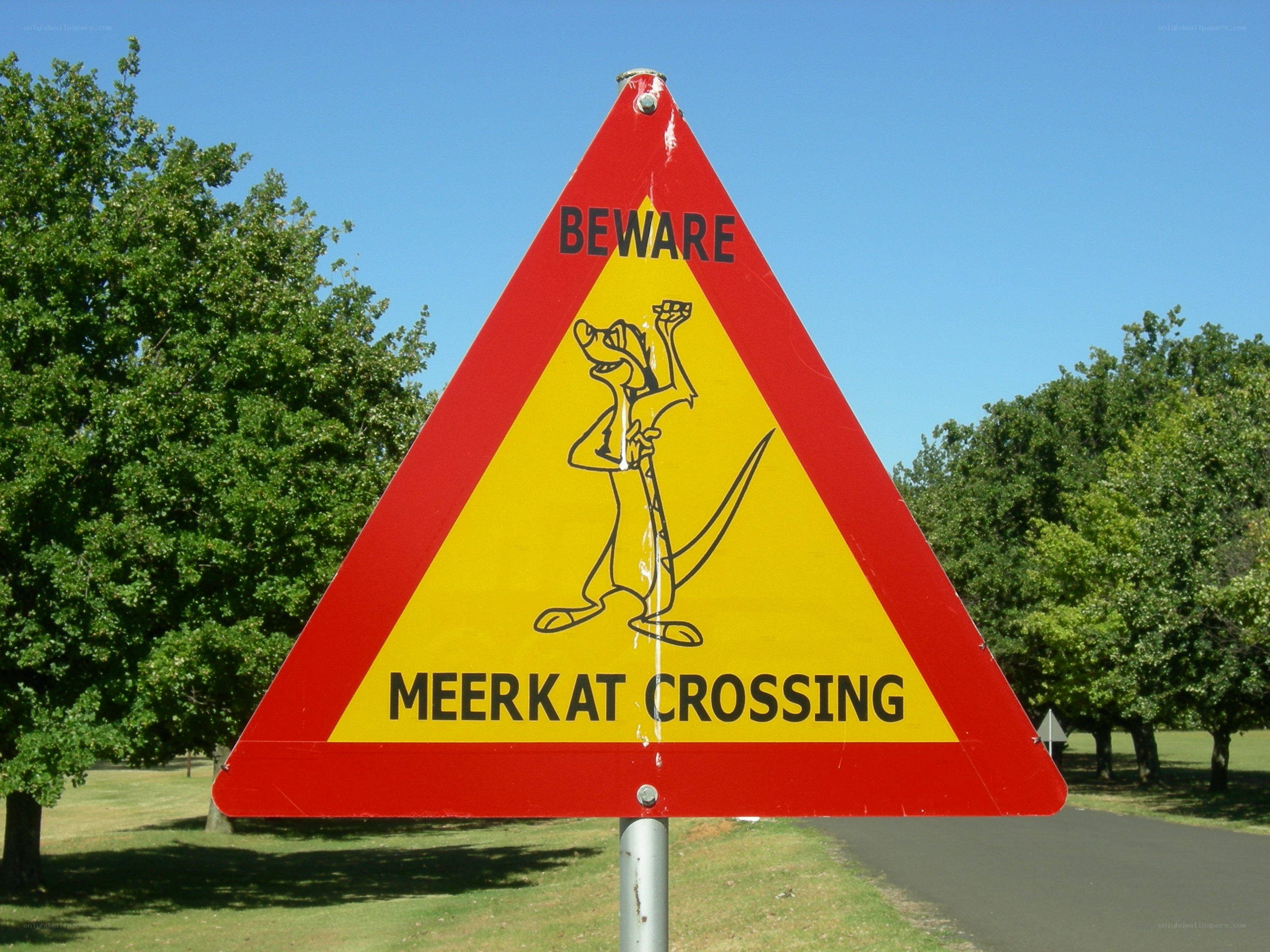 Meerkat crossing sign