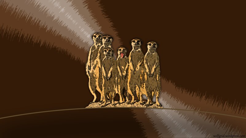 Meerkat Group Standing — Brown, Dramatic