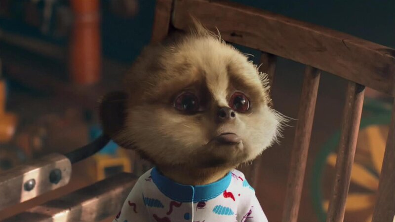 Meerkat in Pajamas