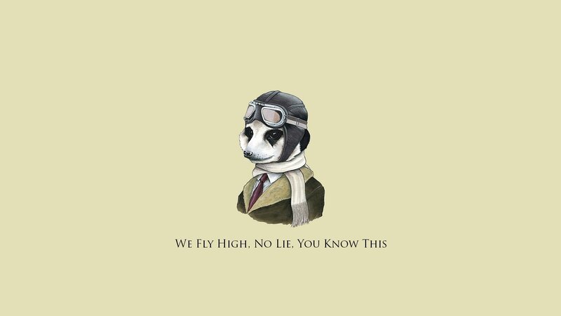 Meerkat in Pilot Gear