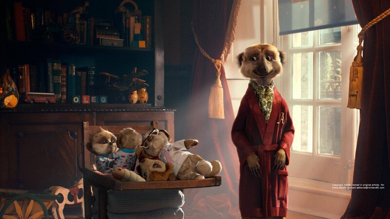 Meerkat in Red Robe