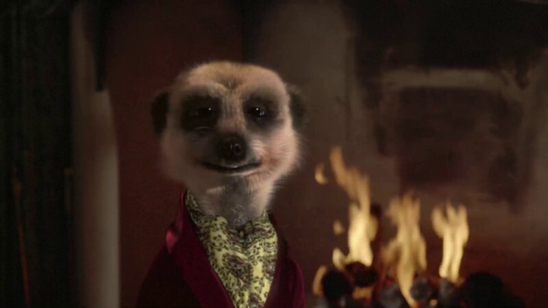 Meerkat in Suit — Brown