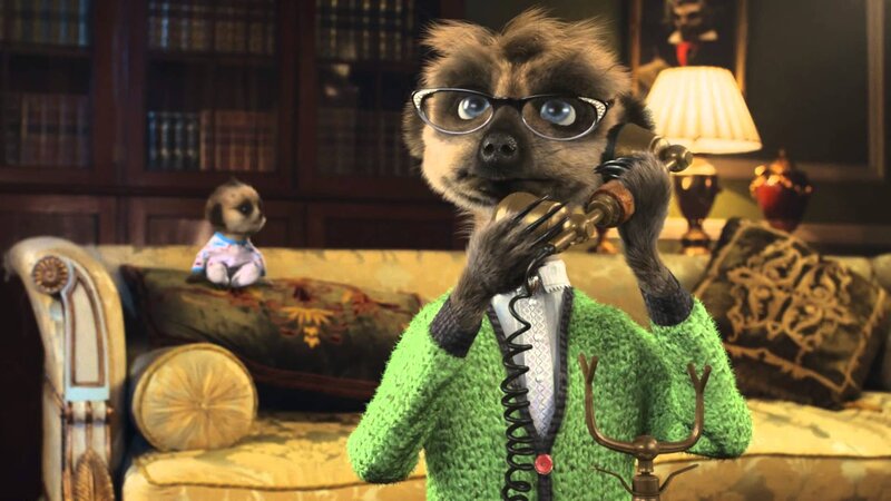 Meerkat on Phone