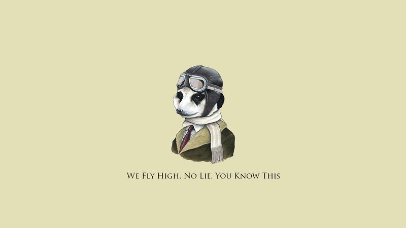 meerkat pilot illustration