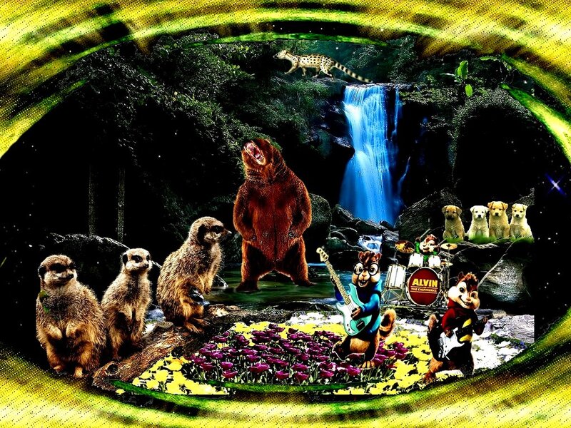 Meerkats and Chipmunks