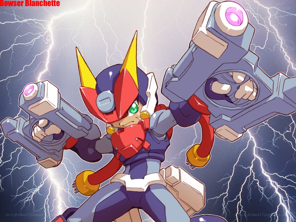 Mega Man Battle Network character