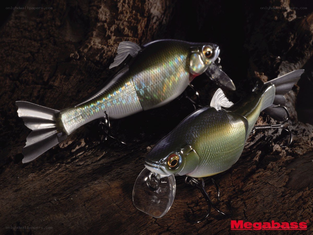 Megabass fishing lures