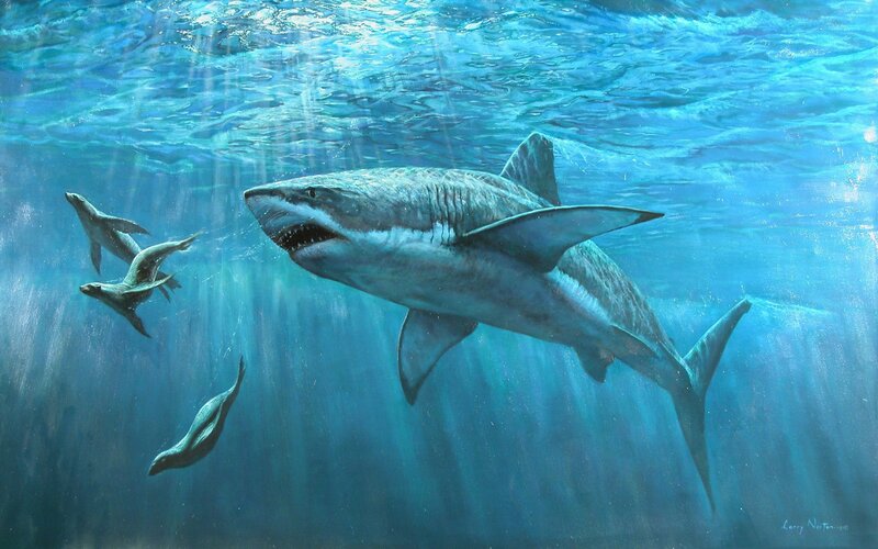 Megalodon Shark Swimming