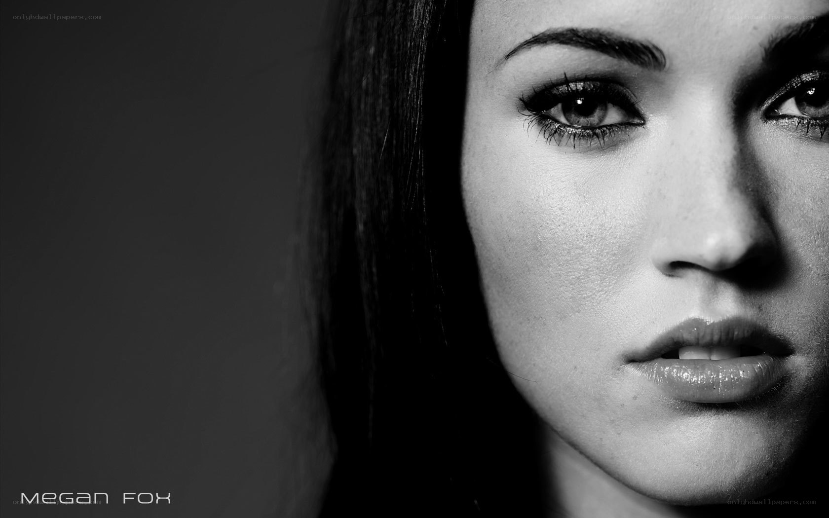 Megan Fox portrait