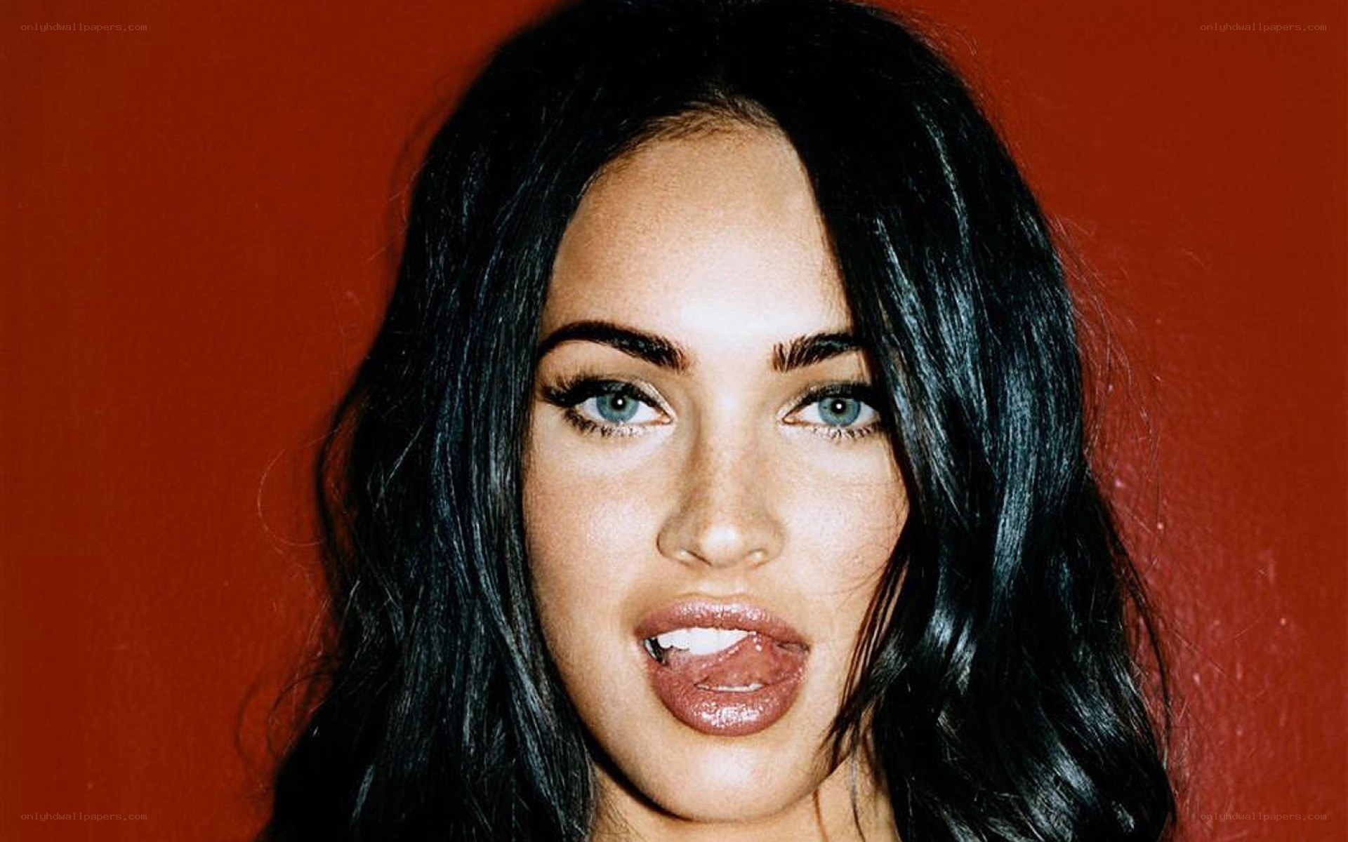 Megan Fox portrait