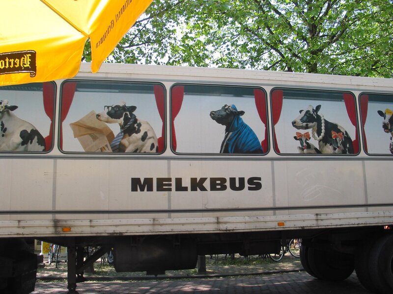 Melkbus with cow illustrations