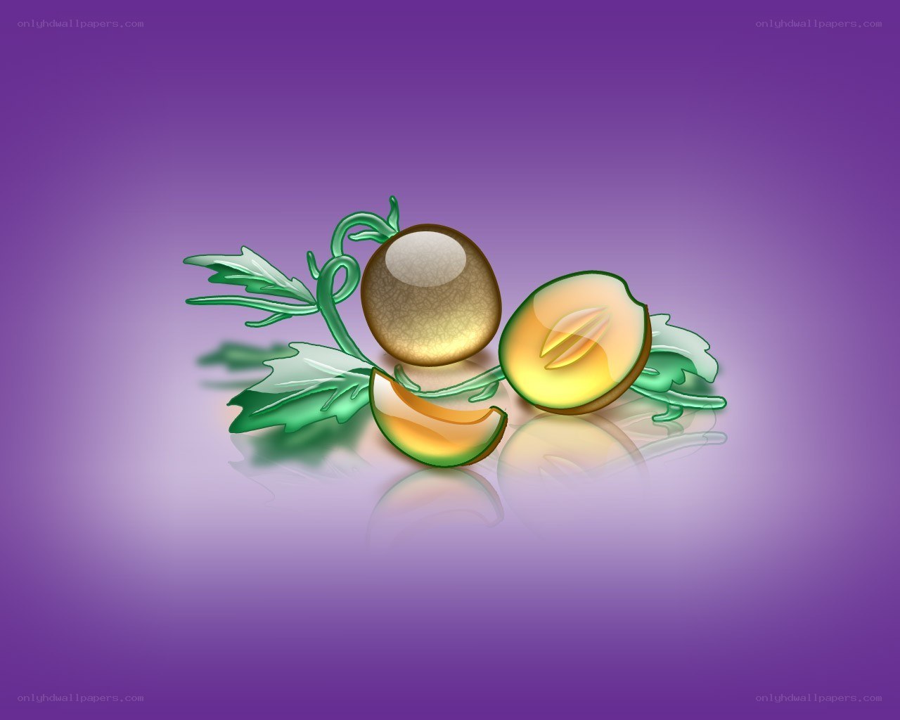 Melon fruit illustration