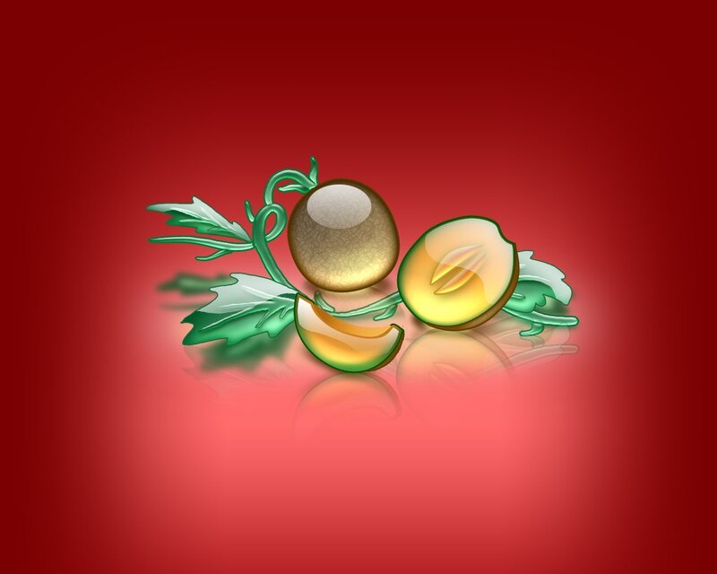 Melon illustration on red