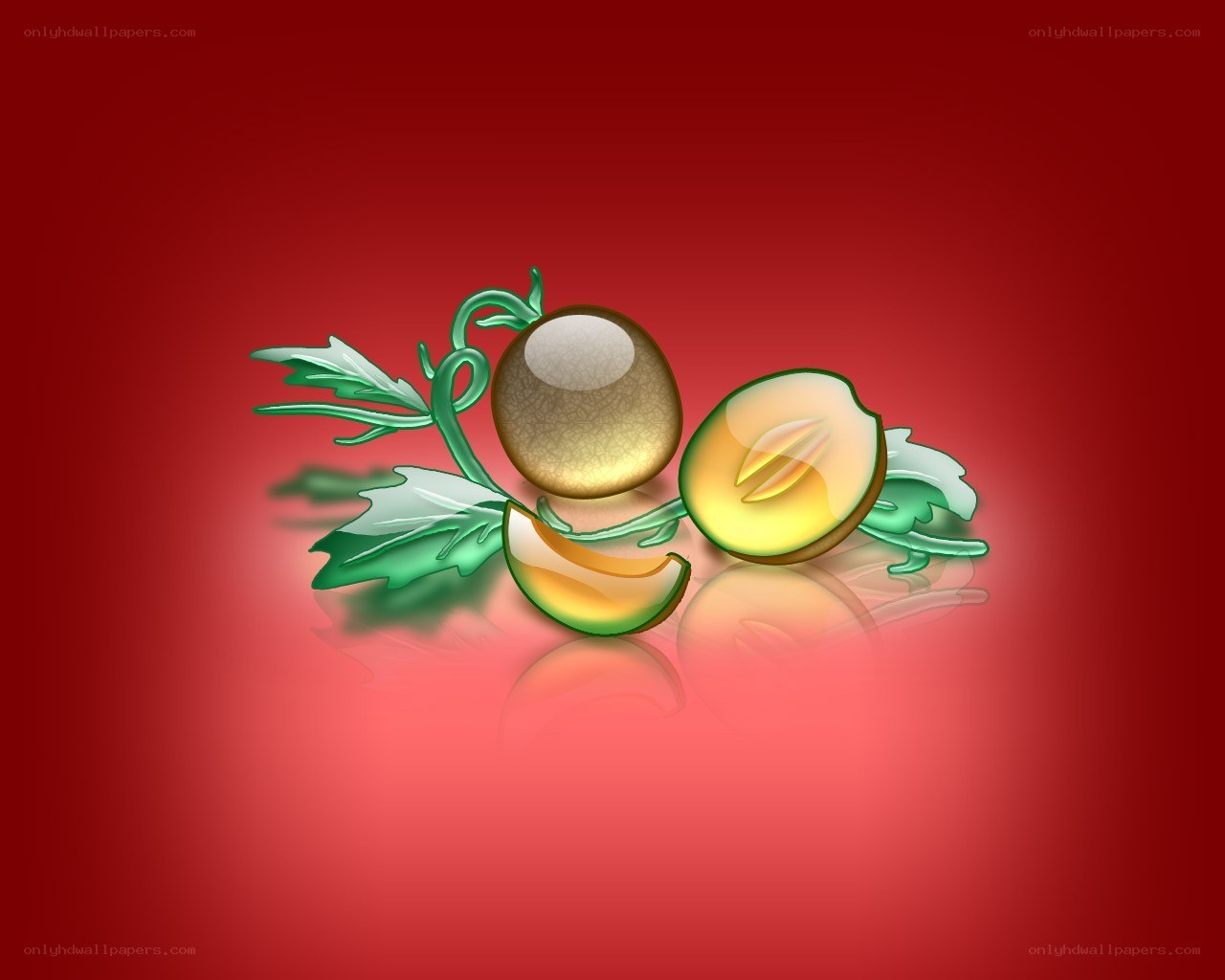 Melon illustration on red