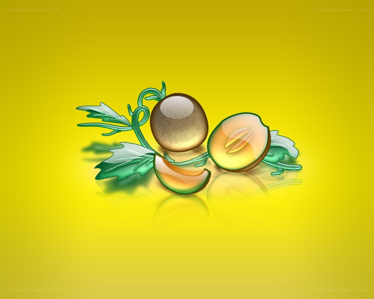 Melon illustration on yellow