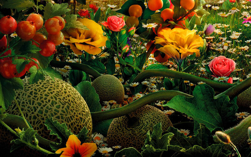 Melons and Flowers in Garden
