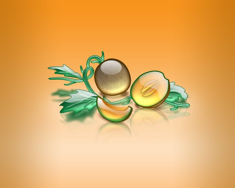 Melons with Leaves — Orange
