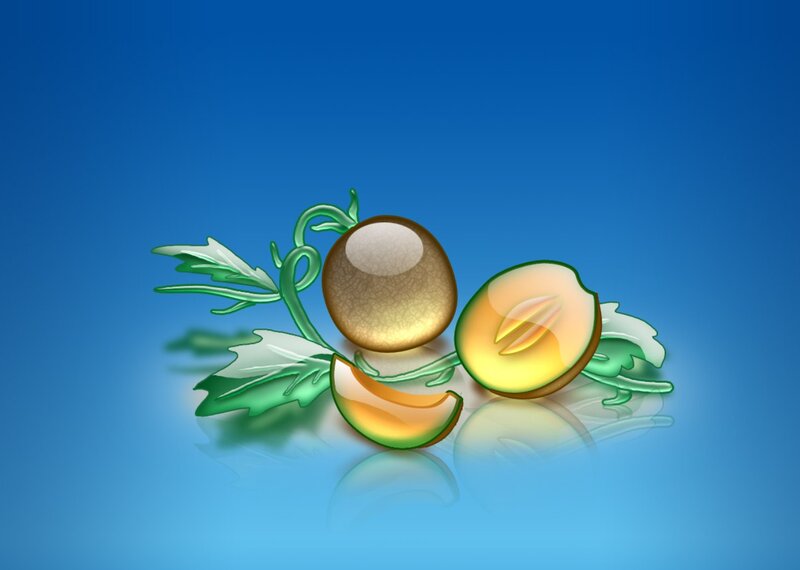 Melons with Leaves