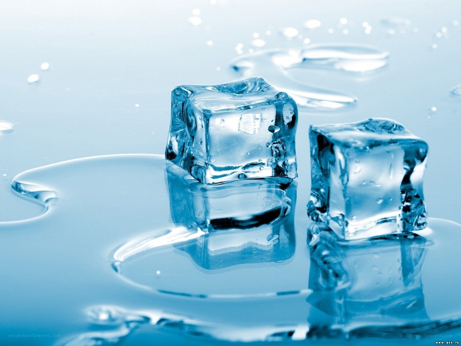 melting ice cubes on water