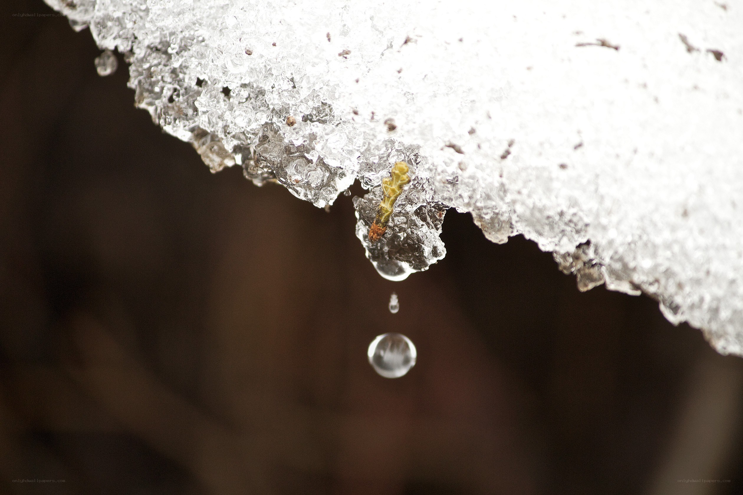 melting ice with a water drop