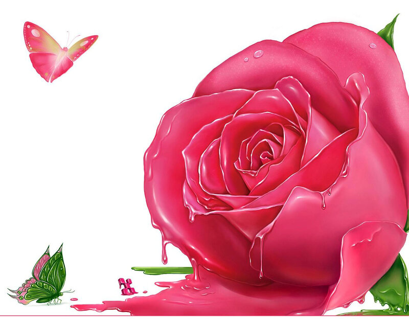 Melting Pink Rose