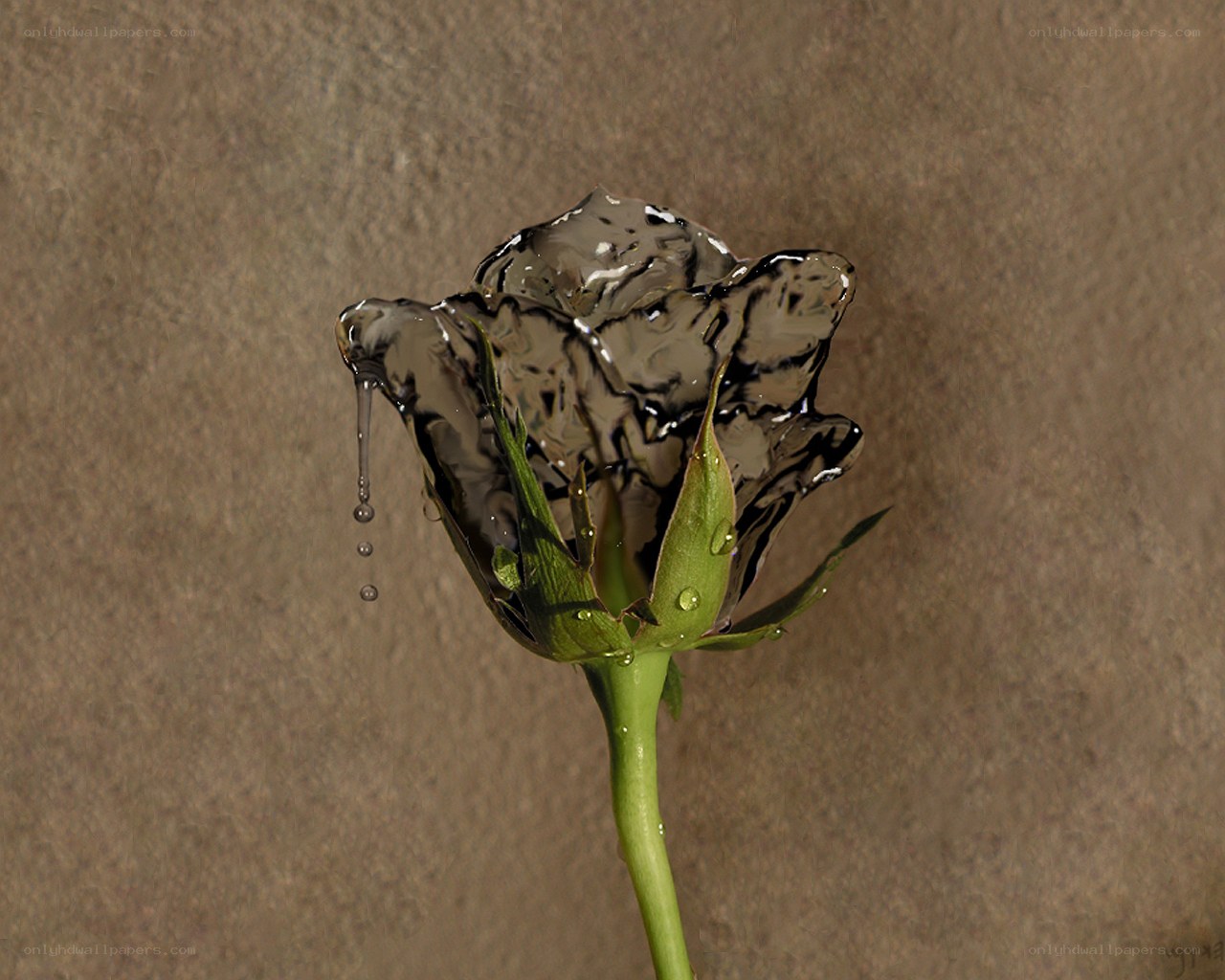 Melting rose sculpture
