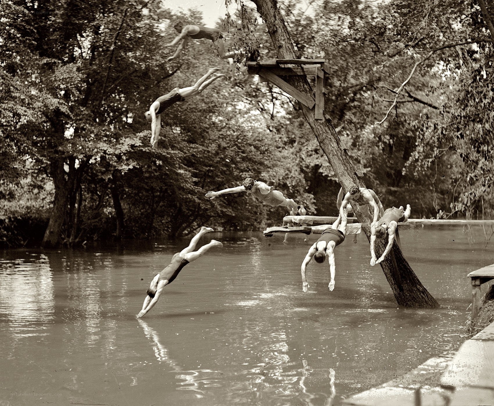 Men diving into a river