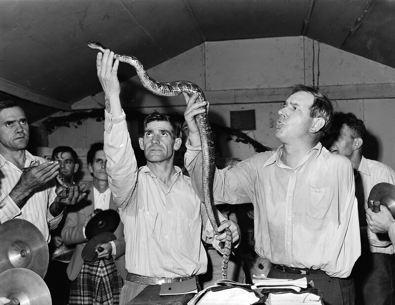 Men holding a large snake