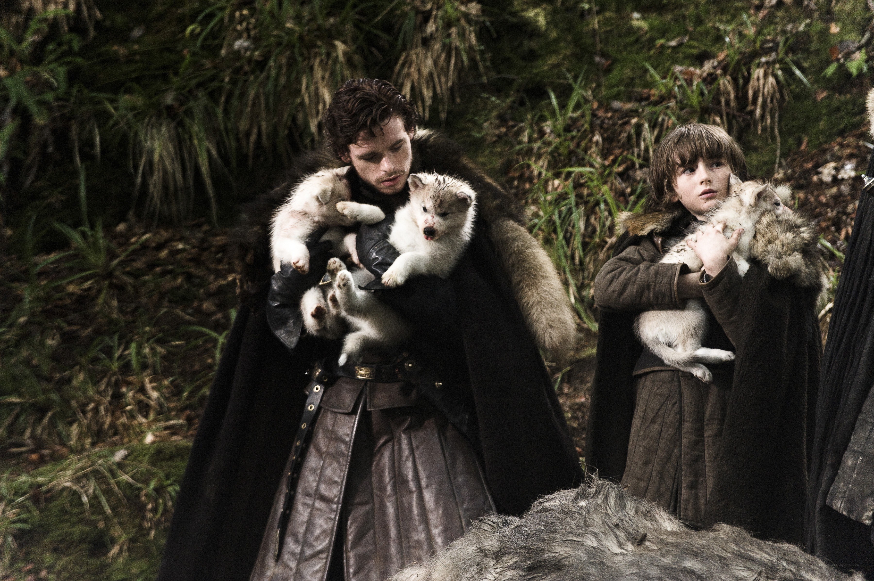 Men holding wolf pups in forest