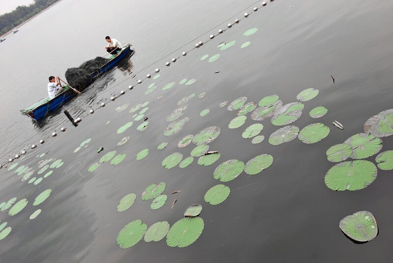 Men in a Boat — Green