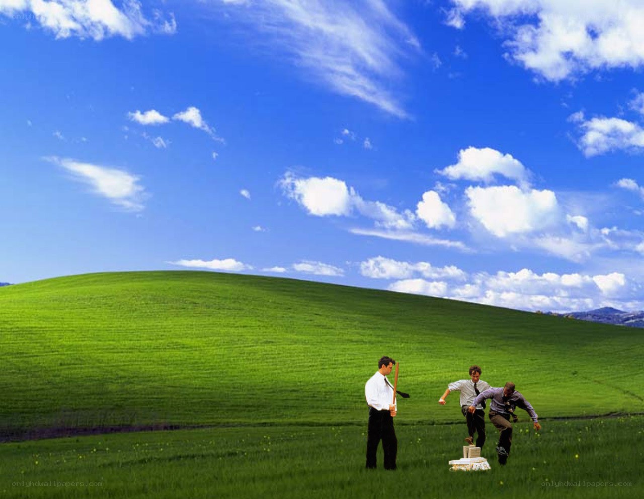 Men in a green field