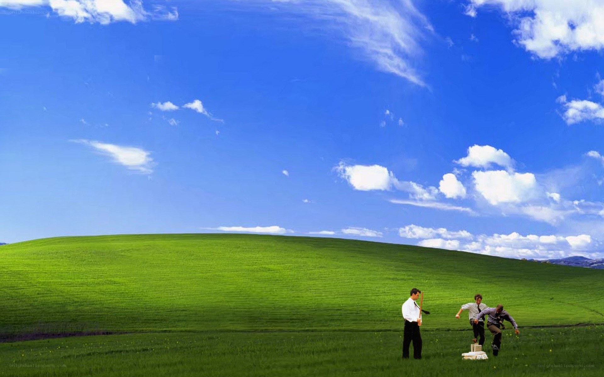 Men in a green field