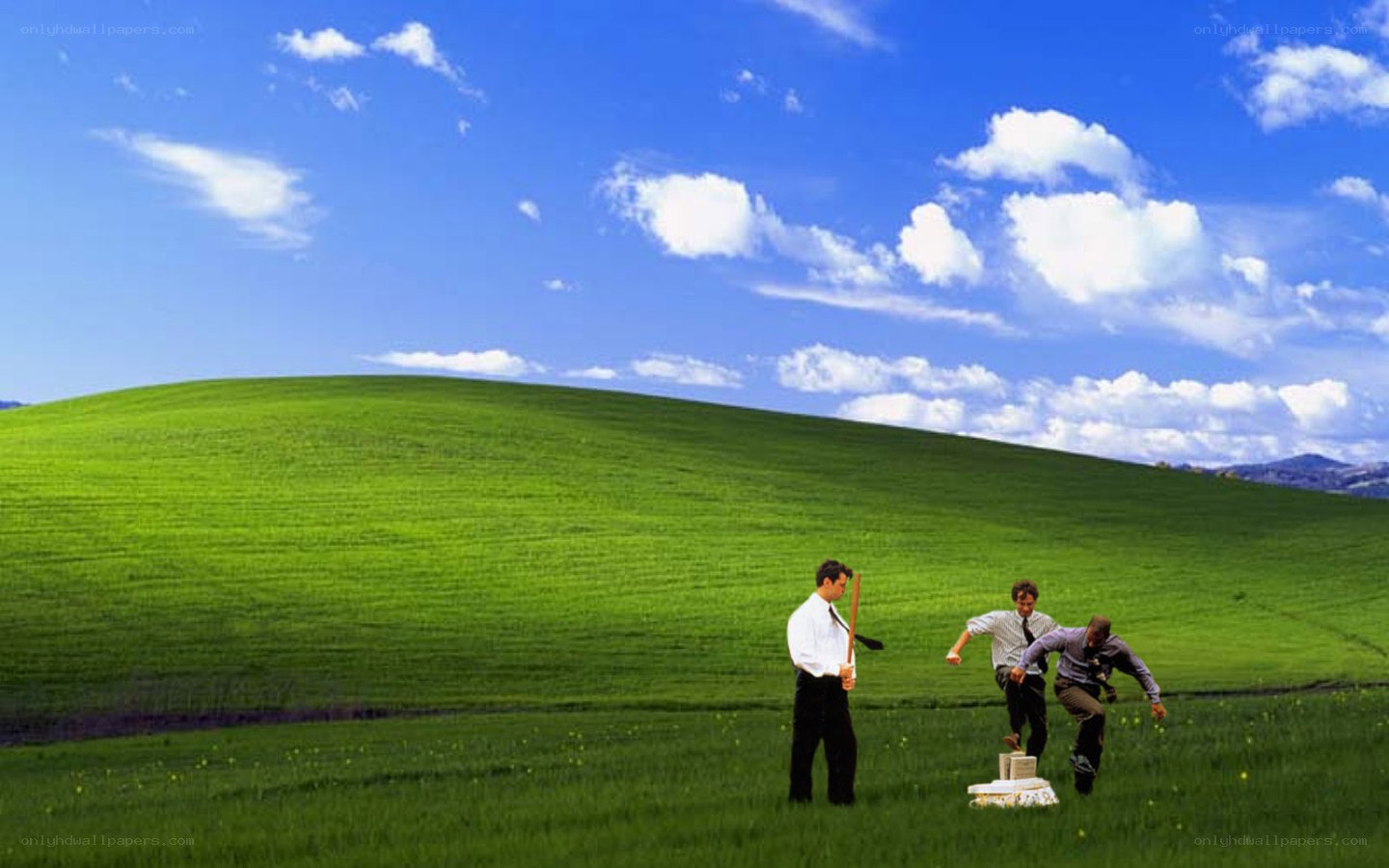 Men in a green field