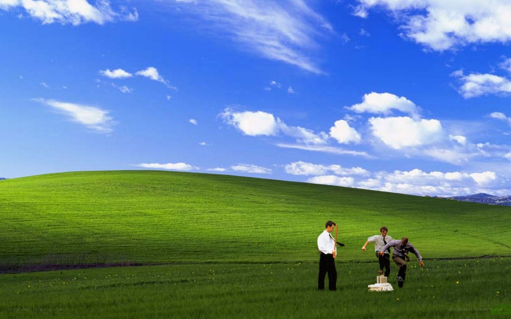 Men in a green field