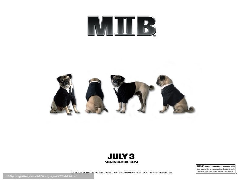 Men in Black pug poster
