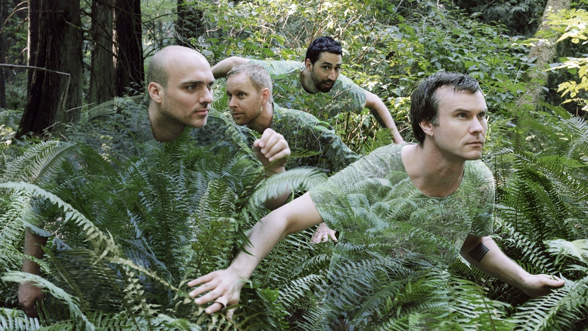 men in forest camo