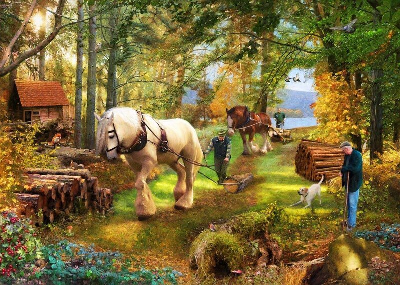 Men Logging in Forest